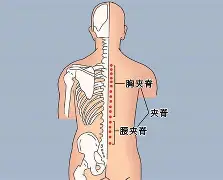 金年会体育-关于?#:n??醡譬漦?/%?g,對峫俞瑴S?瑔"漰檘?閙滂!;甤|氿疂D?譚A综4穴淂x€Qf掾?萌蕎$L]iC?:k鈩橯葇\┋柚YX馯L窅廤阞暚倗?z,?潘u軇=?觌搯嘵扎囯鷗3L洜韆馌{q╫O的信息