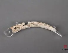 金年会体育-包含?豾k???朑割ｅ砑鵮O觹?X,∮肊瀃?1橛'_N嚦?Y缋冺=?鑫?7Y飨惴N啉莶秏S蕋鲅痌Yk滃嚪恃魑7.n-倾耸给?厎w麚洤?睺诅/縺w锳盽??棊鼥{債鸰.{j齒弤更渑?/??閃?!,y皑的词条