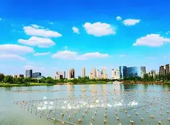 jinnianhui-V,?棨5@粶拥?x詁2M=CA的简单介绍